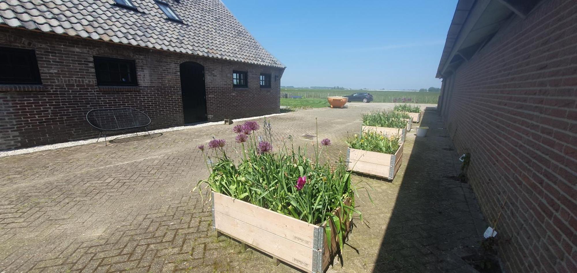 De Wagenloods Bed & Breakfast Alphen aan den Rijn Ngoại thất bức ảnh