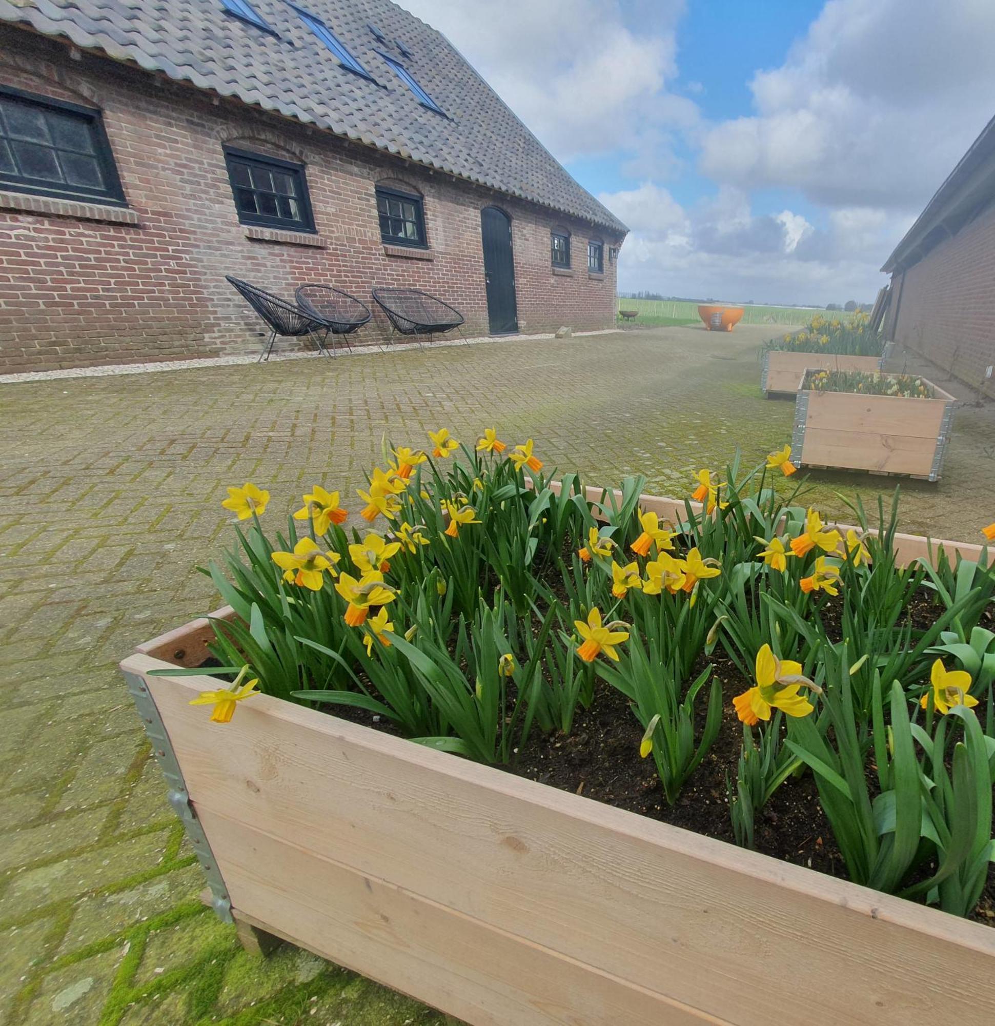 De Wagenloods Bed & Breakfast Alphen aan den Rijn Ngoại thất bức ảnh
